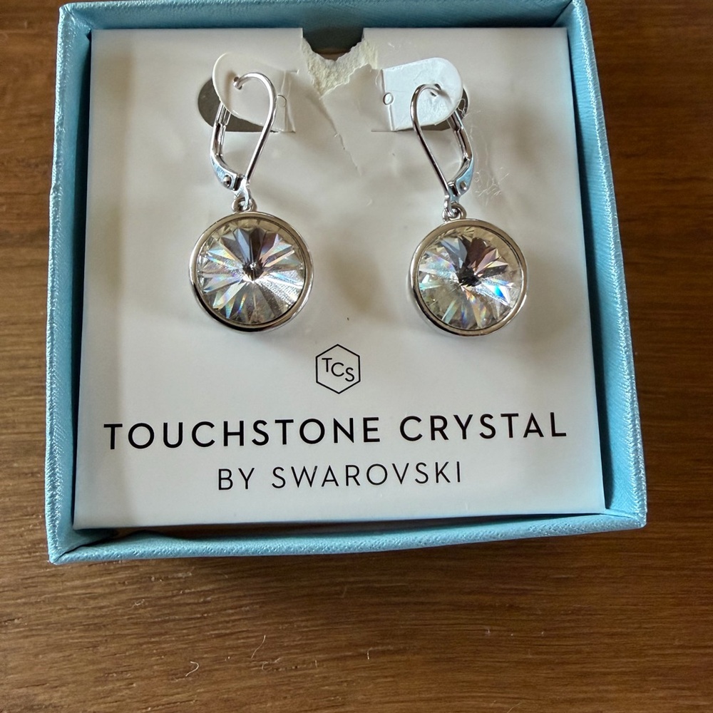 Touchstone Crystal Silver Earrings with Sparkling Accents - Picture 4 of 6